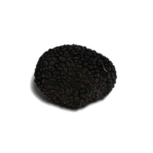 Trufa negra fresca - 20/30 gr