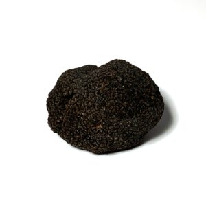 Trufa negra fresca - 40/50 gr