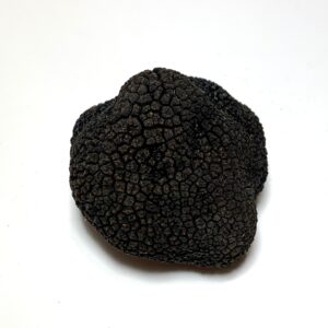 Trufa negra fresca - 80/90 gr