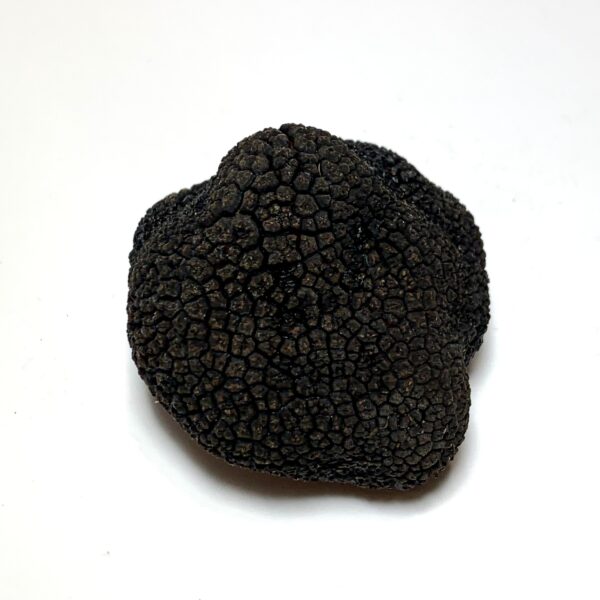 Trufa negra fresca - 80/90 gr